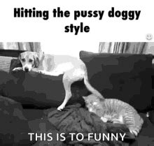 doggy gefickt|Doggystyle Porno Videos 